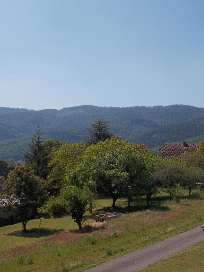 Maison De Vacances "Le Longchamp" Villa Osenbach Luaran gambar